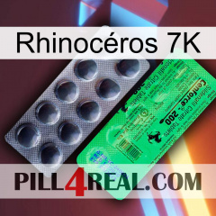 Rhinocéros 7K new04